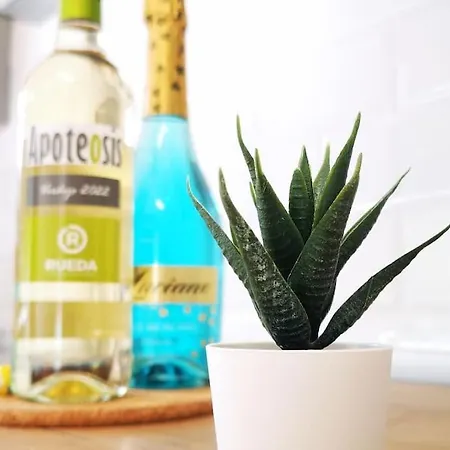 Disfruta Junto Al Mar Apartment La Laguna (Tenerife)